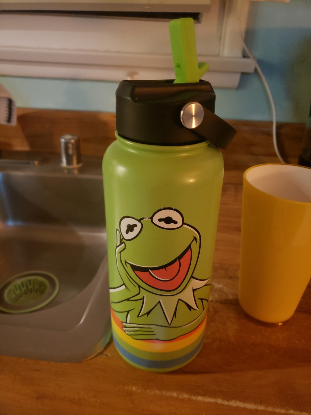 Disney Kermit Green Rainbow Stainless Water Bottle